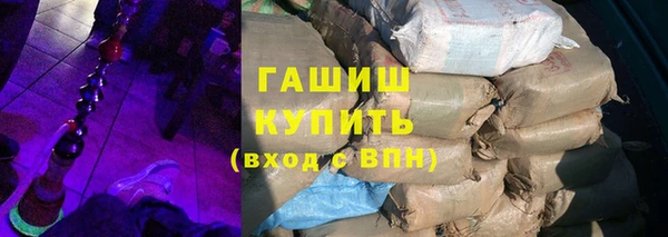 гашик Алексин