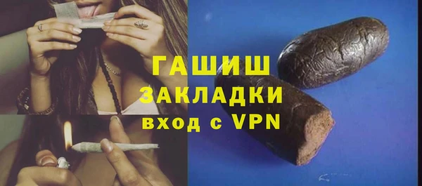 гашик Алексин