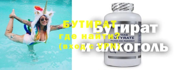 гашик Алексин