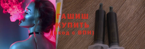 гашик Алексин