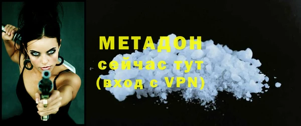 гашик Алексин