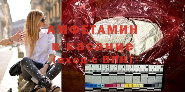 шишки Алзамай