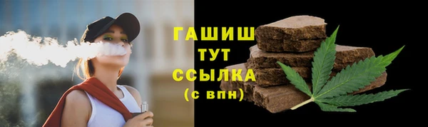 гашик Алексин