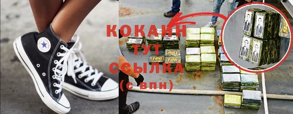 шишки Алзамай