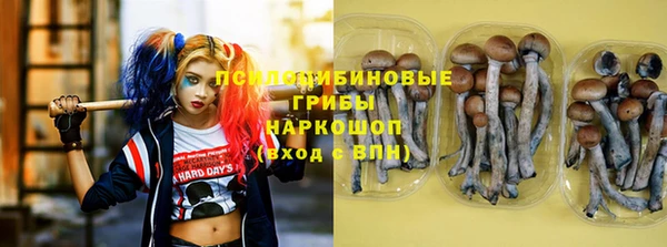 шишки Алзамай